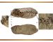 Arni-1 shoe, the oldest known leather clog in the world